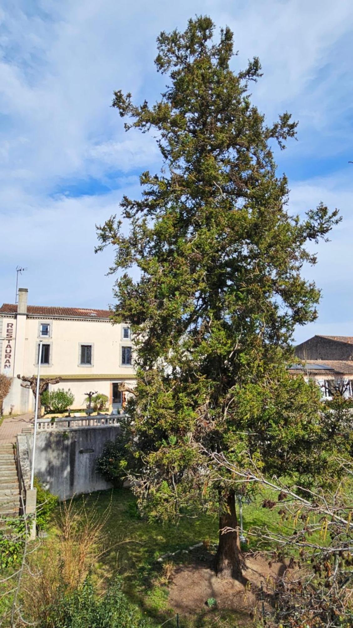 Coliv'Castres Villa Burlats Exteriör bild
